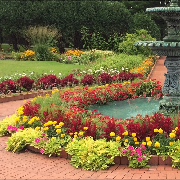 Hi! I’m Liz with 𝓕𝓲𝓸𝓻𝓮 𝓐𝓶𝓸𝓻𝓮. I love fashion and all things pretty! Come shop! 🛍 - Picture 3 of 3